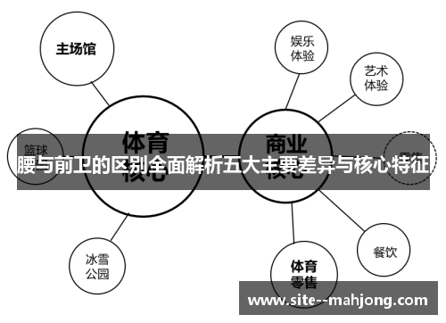 腰与前卫的区别全面解析五大主要差异与核心特征 腰与前卫的区别全面解析五大主要差异与核心特征