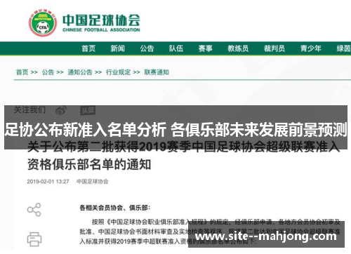 足协公布新准入名单分析 各俱乐部未来发展前景预测