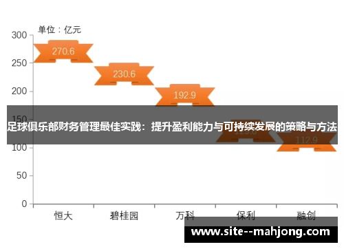 足球俱乐部财务管理最佳实践：提升盈利能力与可持续发展的策略与方法