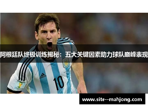 阿根廷队终极训练揭秘：五大关键因素助力球队巅峰表现