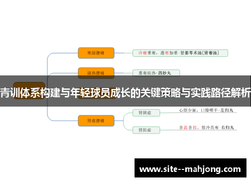 青训体系构建与年轻球员成长的关键策略与实践路径解析