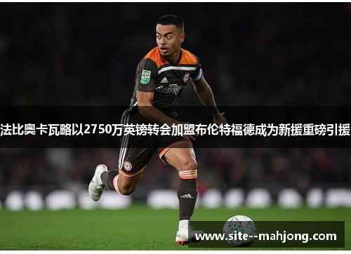 法比奥卡瓦略以2750万英镑转会加盟布伦特福德成为新援重磅引援