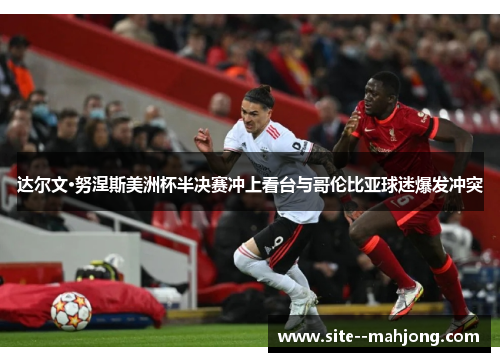 达尔文·努涅斯美洲杯半决赛冲上看台与哥伦比亚球迷爆发冲突