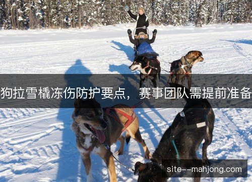 狗拉雪橇冻伤防护要点，赛事团队需提前准备
